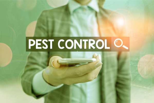 Keep Pests Out of Your Business with These 5 Steps | SJPC Pest Control