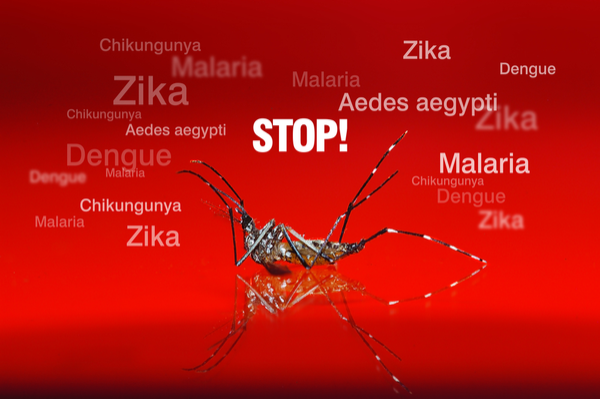 Scary Illnesses that Mosquitoes Can Transmit to Humans