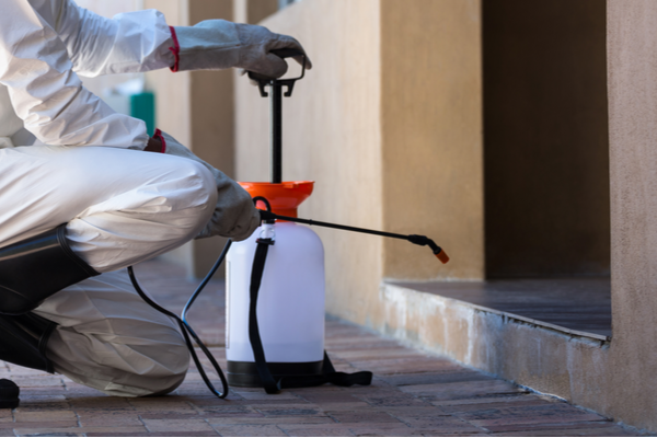 The Long List of Benefits from Ongoing Professional Pest Protection | San Joaquin Pest Control