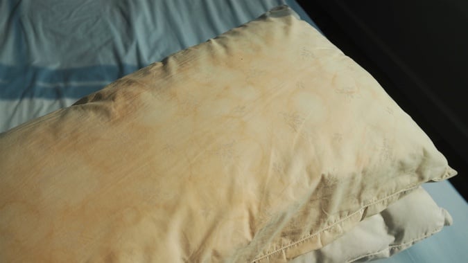 Mild Bed Bug Problem, Do Bed Bugs Live In Duvets And Pillows