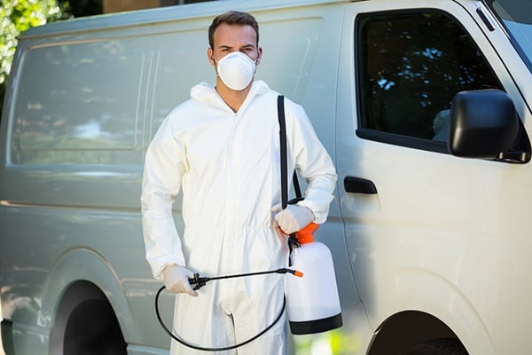 How Quickly Do Bugs Get Eliminated After A Pest Control Company Sprays? | San Joaquin Pest Control